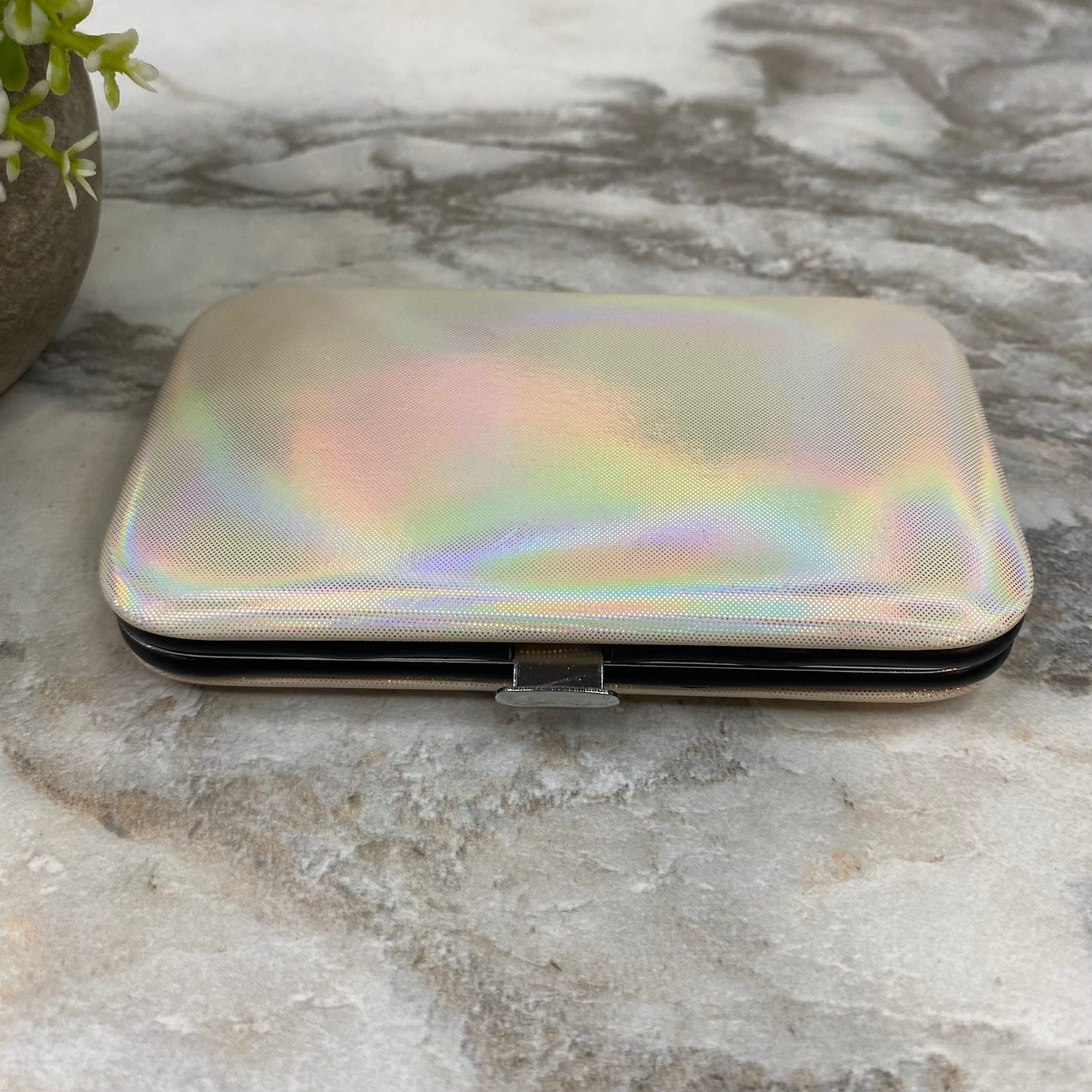 Manicure Nail Case & Set - Solid Holographic